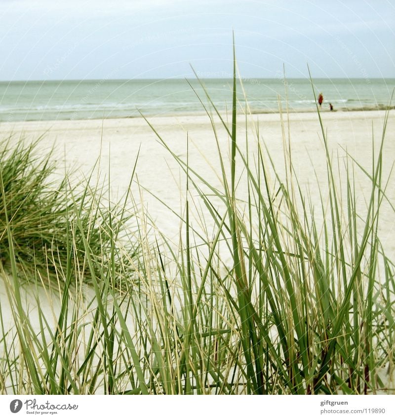 prerow, ostsee Prerow Darß Strand Meer Strandspaziergang trüb grau Wolken schlechtes Wetter Ferien & Urlaub & Reisen ruhig Küste Frieden Freude Ostsee Sand