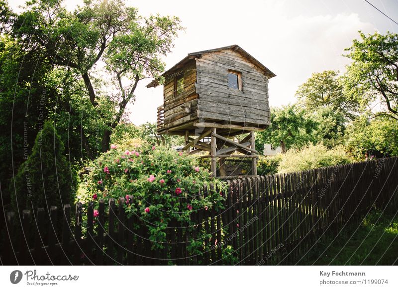 ° Spielen heimwerken Sommer Häusliches Leben Wohnung Garten Kinderzimmer Baumhaus Umwelt Natur Schönes Wetter Dorf Holz authentisch Freude Sicherheit Schutz