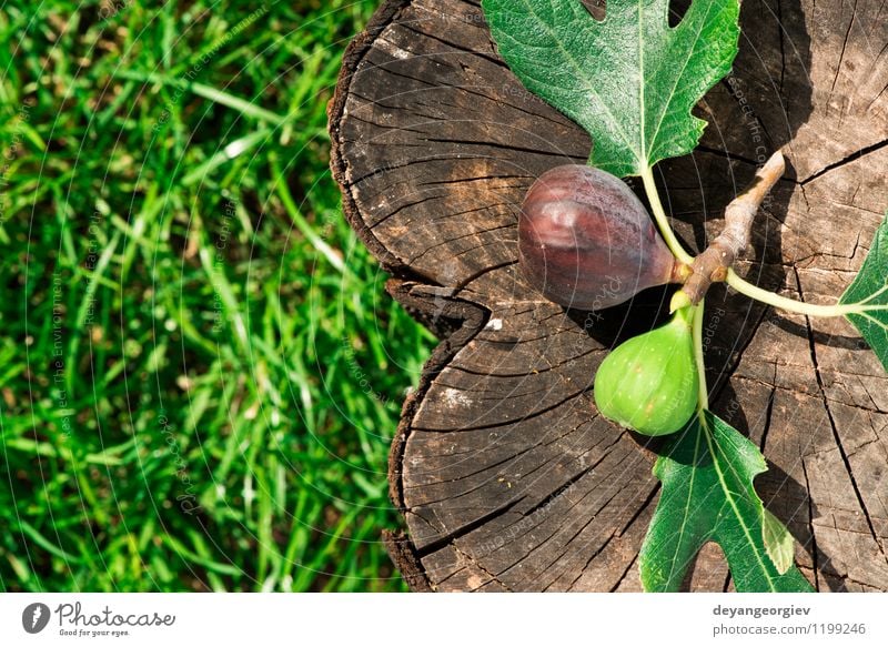 Feigen auf Holz und grüner Wiese Frucht Dessert Ernährung Schalen & Schüsseln exotisch Tisch Natur Herbst frisch natürlich saftig Lebensmittel rustikal süß roh