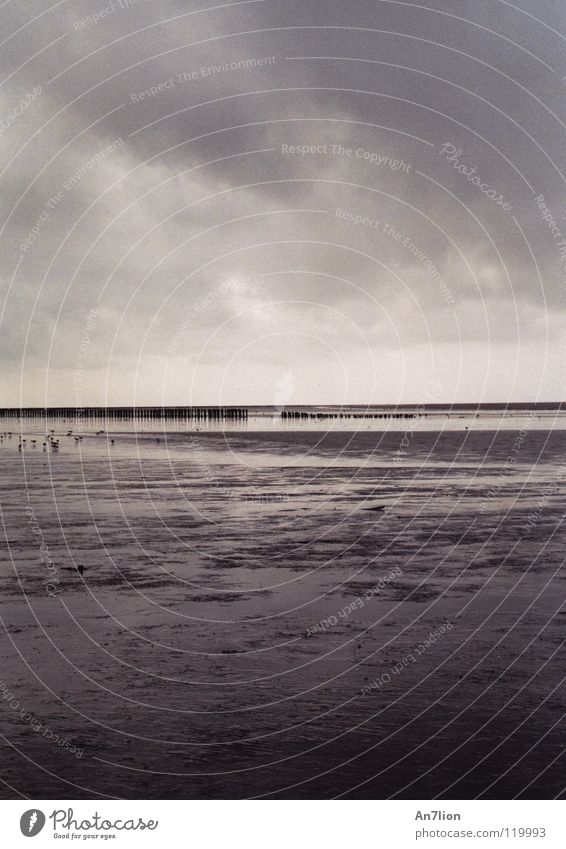 Ebbe Ameland Meer Einsamkeit Ferne ruhig Wolken Wasser