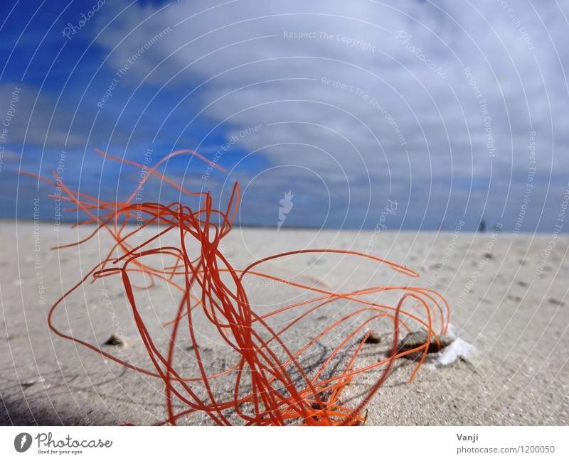 Im Sand 2 Ferien & Urlaub & Reisen Sonne Strand Natur Luft Himmel Kunststoff Linie dünn orange Schnur Sträucher Farbfoto Außenaufnahme abstrakt