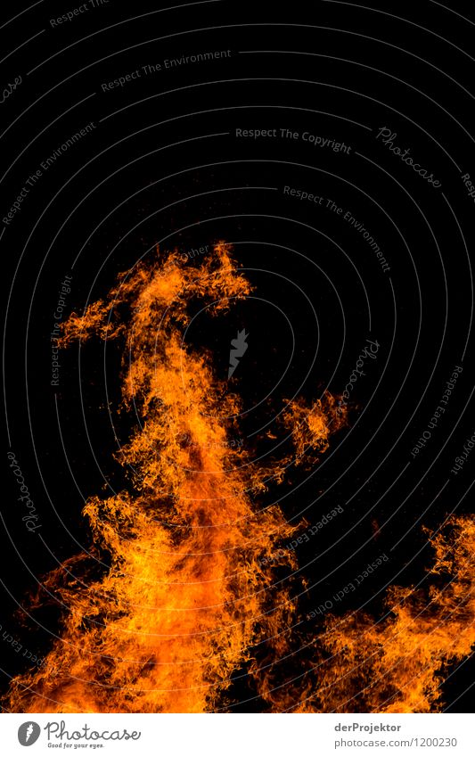 Feuerdrache Ferien & Urlaub & Reisen Tourismus Ausflug Abenteuer Ferne Umwelt Natur Landschaft Urelemente Frühling Gefühle Begeisterung Euphorie Optimismus