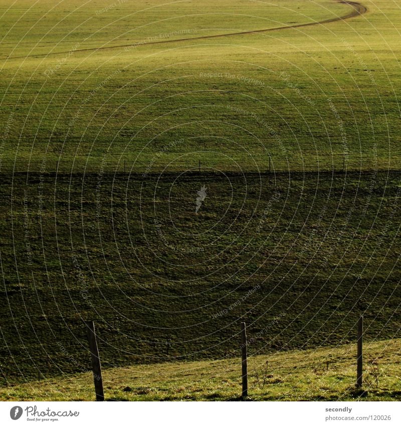 quras-gradrat Gras Wiese Zaun grün harmonisch ruhig Frühling Wege & Pfade voralpen nutzfläche Linie