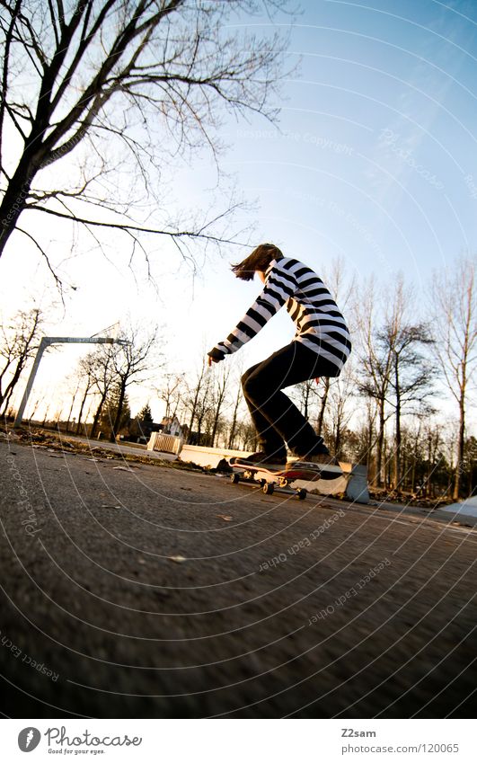 KONZENTRATION Konzentration fahren Skateboarding Zufahrtsstraße Teer Geschwindigkeit Sport Aktion gestreift Stil Jugendliche lässig Knie Baum Basketballkorb