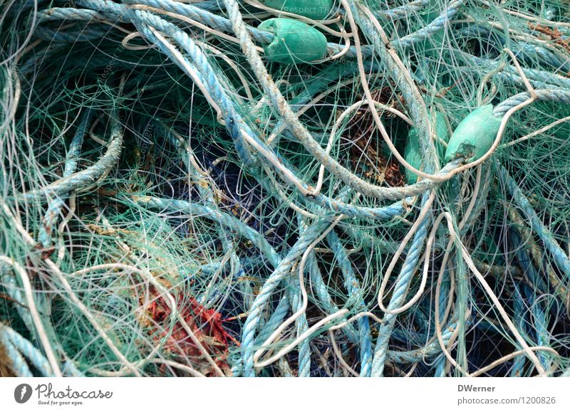 Netzwerk 4 Fischerboot Schnur Knoten fangen dreckig dunkel Ekel maritim grün nachhaltig Natur Angeln Fischernetz kaputt Farbfoto Gedeckte Farben Außenaufnahme