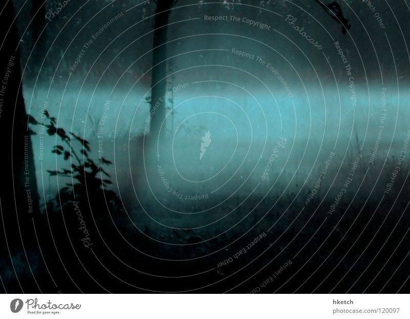 Nacht und Schimmel Nebel Baum Mondschein dunkel geheimnisvoll unheimlich Geister u. Gespenster Frieden Winter friedlich Ruhe ruhig spukhaft