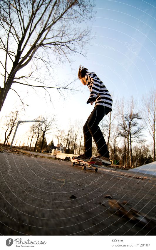 KONZENTRATION II Konzentration fahren Skateboarding Zufahrtsstraße Teer Geschwindigkeit Sport Aktion gestreift Stil Jugendliche lässig Knie Baum Basketballkorb