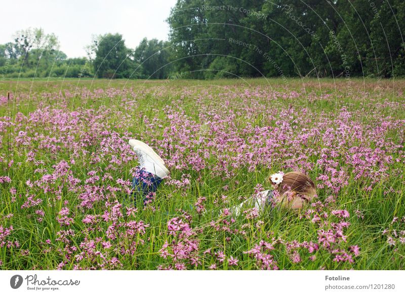 Schneckenbeobachtungsposten Mensch feminin Mädchen Junge Frau Jugendliche Kindheit 1 Umwelt Natur Landschaft Pflanze Sommer Blume Gras Wiese frei Fröhlichkeit