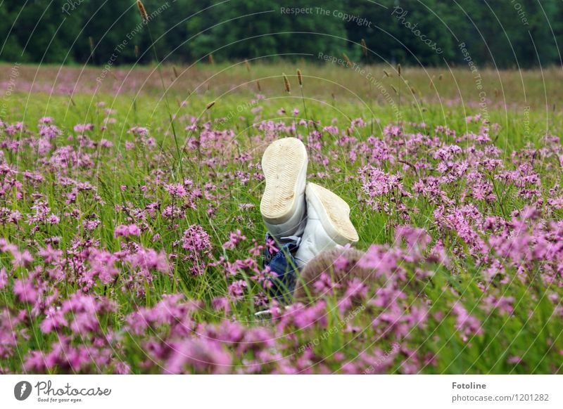 Freiheit Kind zu sein Mensch Kindheit Umwelt Natur Landschaft Pflanze Sommer Schönes Wetter Blume Gras Blüte Wiese frei hell nah natürlich grün violett weiß