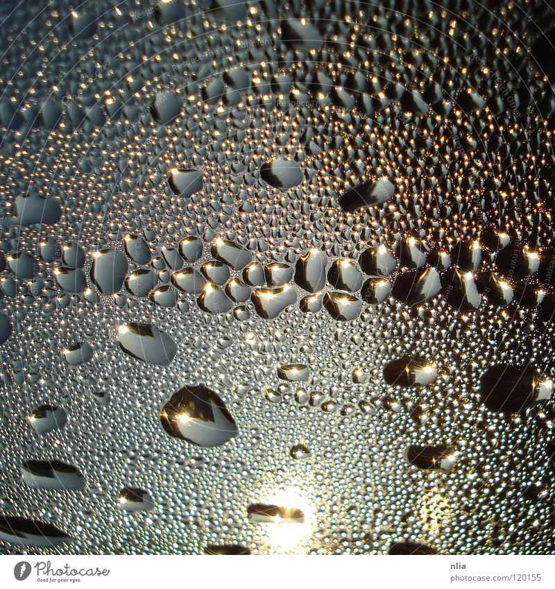 Tautropfen Fenster nass kalt Wasser Wassertropfen Regen blau Sonne