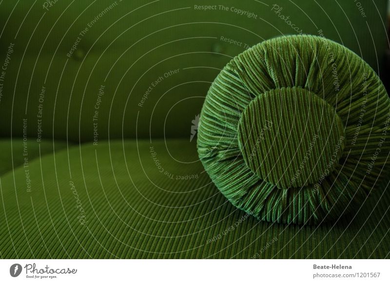 Total von der Rolle (oder Sofa No.2) Wohlgefühl Freizeit & Hobby Wohnzimmer Zeichen atmen Erholung schlafen authentisch weich grün Lebensfreude Leidenschaft