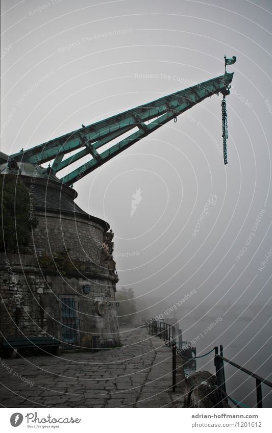 Alter Kranen im Nebel Architektur Würzburg Deutschland Europa Stadt Altstadt Menschenleer Hafen Kai Sehenswürdigkeit Mainkai Schifffahrt Binnenschifffahrt alt