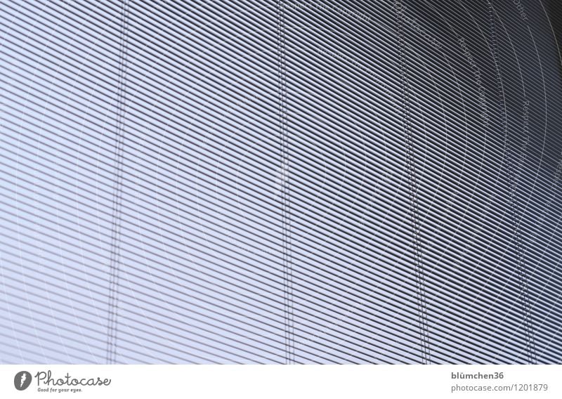 dunkel, aber kühl! Fenster Wetterschutz Sichtschutz Häusliches Leben Jalousie Rollo Schutz geschlossen Strukturen & Formen Linie Streifen Blick Durchblick