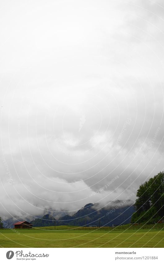 Boden- und Ackertag | kein schöner land Umwelt Natur Landschaft Pflanze Urelemente Erde Himmel Wolken Frühling Klima schlechtes Wetter Nebel Regen Baum Blume