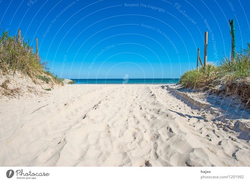 Ostseestrand in Ustka, Polen schön Ferien & Urlaub & Reisen Tourismus Ferne Sommer Strand Meer Umwelt Natur Landschaft Wolkenloser Himmel Horizont Frühling