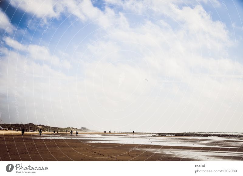 Ebbe Mensch Umwelt Natur Sand Wasser nur Himmel Wolken Wellen Küste Seeufer Strand weiß Meer Gezeiten Spaziergang Düne Stranddüne Ferien & Urlaub & Reisen Ferne