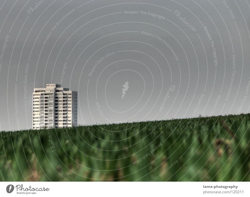 Rutschgefahr Gras grün Wachstum gedeihen Feld Landwirtschaft Bauernhof Wiese ländlich schlechtes Wetter grau Symmetrie graphisch Ferne Halm Hochhaus Haus