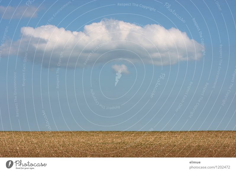 Dekowolke über einem Acker Umwelt Natur Landschaft Erde Himmel Wolken Sonne Frühling Schönes Wetter Feld Kulturlandschaft leere Ferne Unendlichkeit blau braun