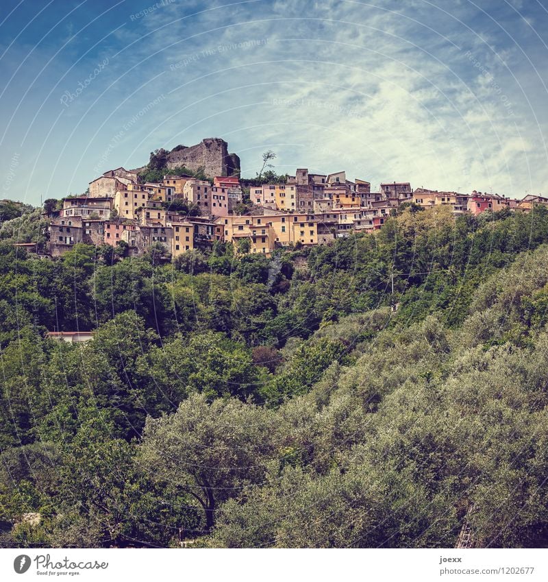 Hoch Häuser Ferien & Urlaub & Reisen Tourismus Berge u. Gebirge Landschaft Schönes Wetter Wald Trebiano Ligurien Italien Dorf Haus Ruine alt historisch retro