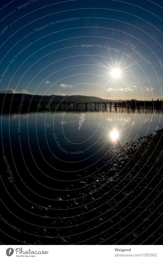 Bodensee lowlight Feierabend Natur Landschaft Urelemente Wasser Himmel Horizont Sonnenlicht Alpen Seeufer Flussufer Bucht atmen beobachten glänzend blau