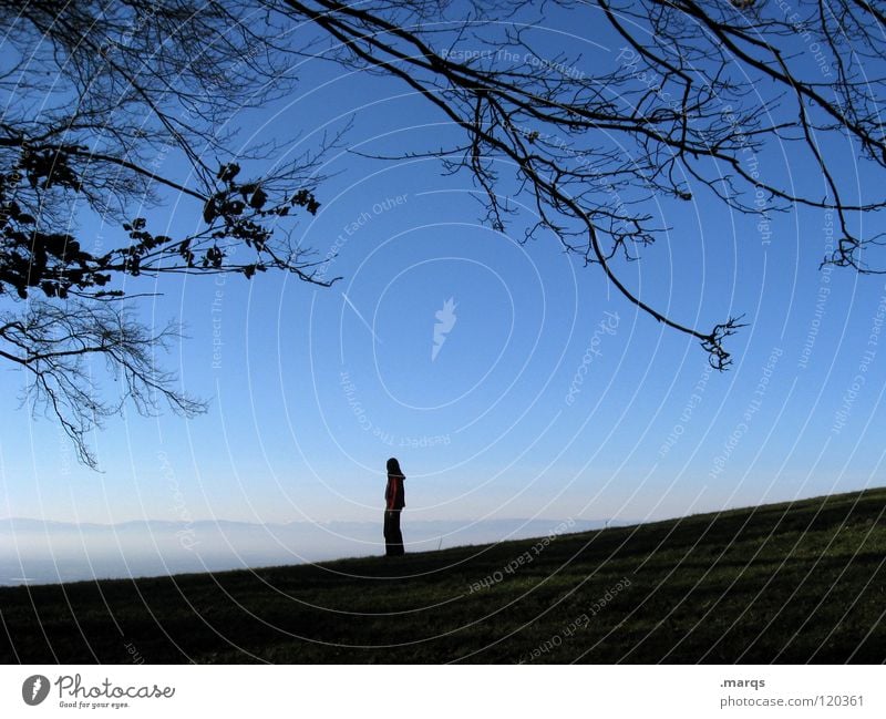 Weitblick Aussicht stehen Einsamkeit Ferne Vogesen Hügel Horizont Denken Freizeit & Hobby ruhig Wochenende Frieden Natur Mensch Silhouette Berge u. Gebirge Ast