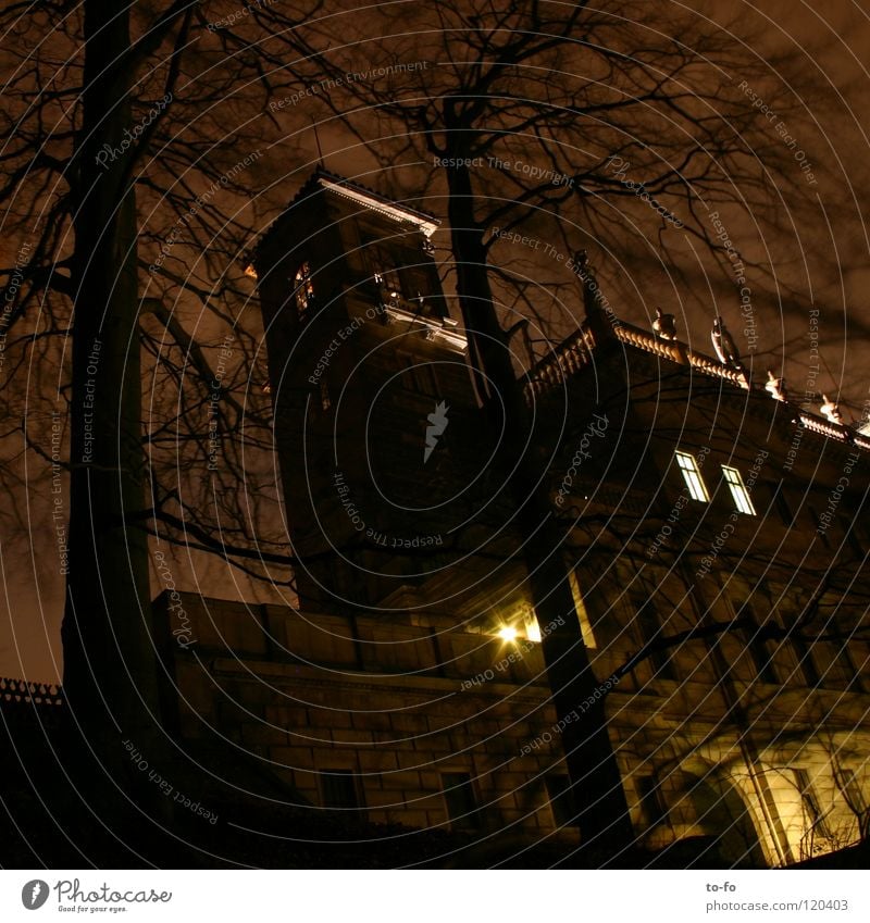 Schloss Albrechtsberg bei Nacht Dresden dunkel Park historisch Langzeitbelichtung Burg oder Schloss Elbschlösser Architektur