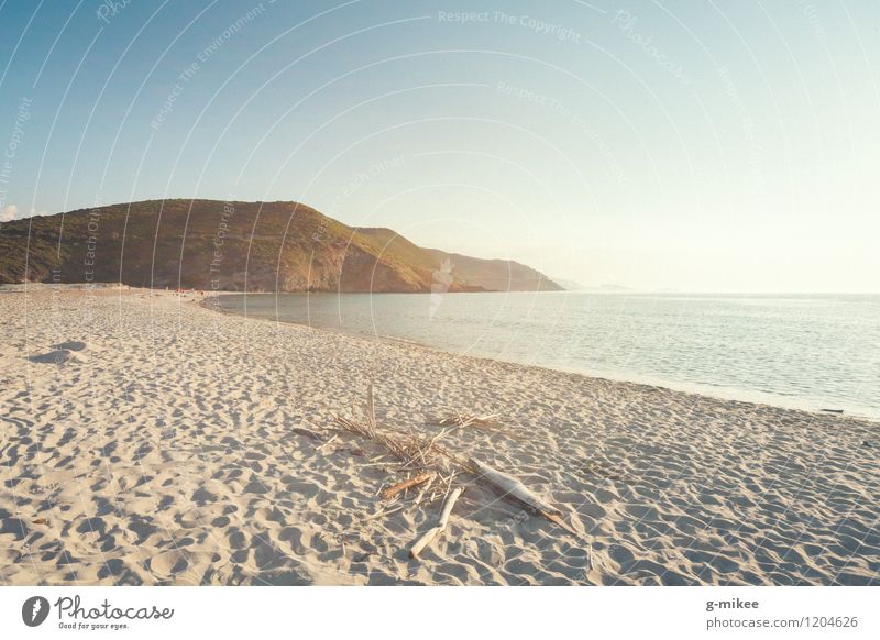 Strand Natur Landschaft Sand Wasser Himmel Sommer Meer Insel ästhetisch frei Wärme Gelassenheit ruhig leer Mittelmeer Korsika Hügel blau gelbgold Farbfoto