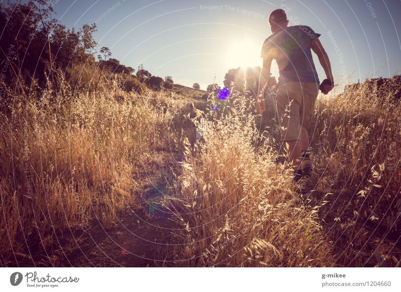 Wandern Natur Landschaft Erde Sonne Sommer Warmherzigkeit wandern Politische Bewegungen Sträucher Wege & Pfade Fußweg Farbfoto Außenaufnahme Abend Licht