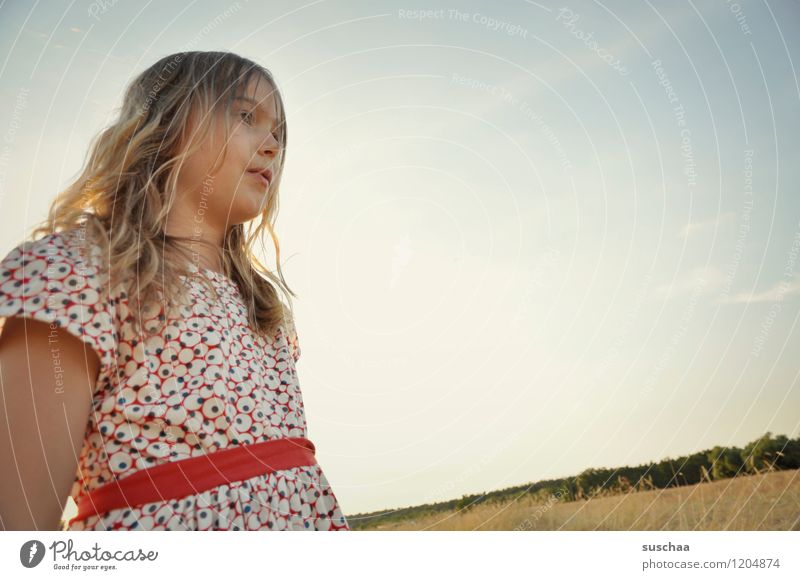 es war einmal im sommer ......... Kind Mädchen Gesicht Arme Hand Haare & Frisuren Kleid Außenaufnahme Feld Himmel Natur Landschaft Sommer Kindheit Freiheit