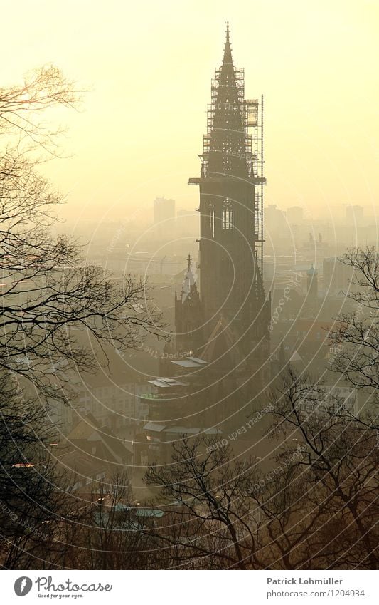 Münsterblick Freiburg Tourismus Städtereise Architektur Umwelt Wolkenloser Himmel Sonnenlicht Frühling Schönes Wetter Freiburg im Breisgau Deutschland