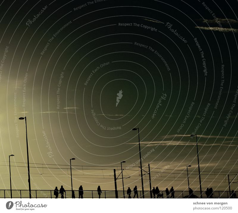 verkehrstechnisch. Laterne gehen Spaziergang Sonntag Sonnenuntergang Straßenbahn Gleise ruhig Pause Mensch Köln Brücke Wege & Pfade laufen traffic Verbindung