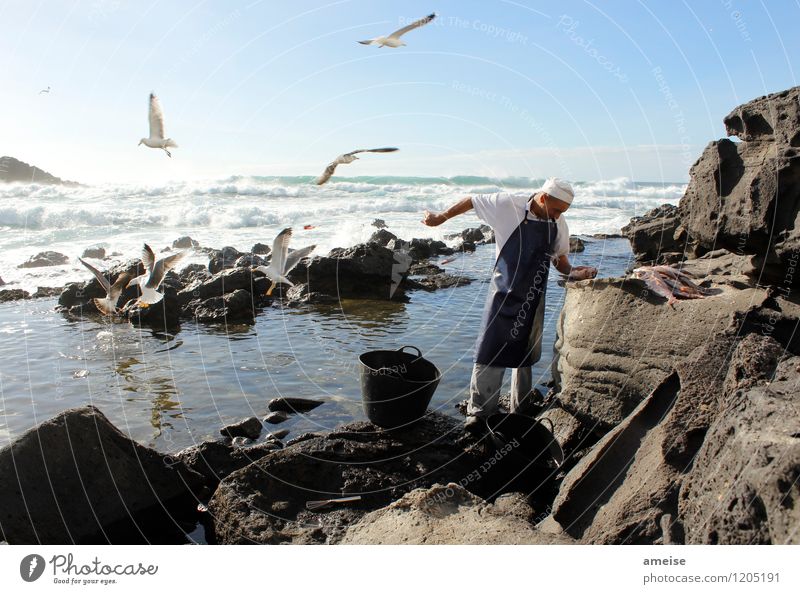 Vögel füttern im Winter Lebensmittel Fisch Bioprodukte Gesunde Ernährung Jagd Ferien & Urlaub & Reisen Tourismus Städtereise Mensch Mann Erwachsene 1