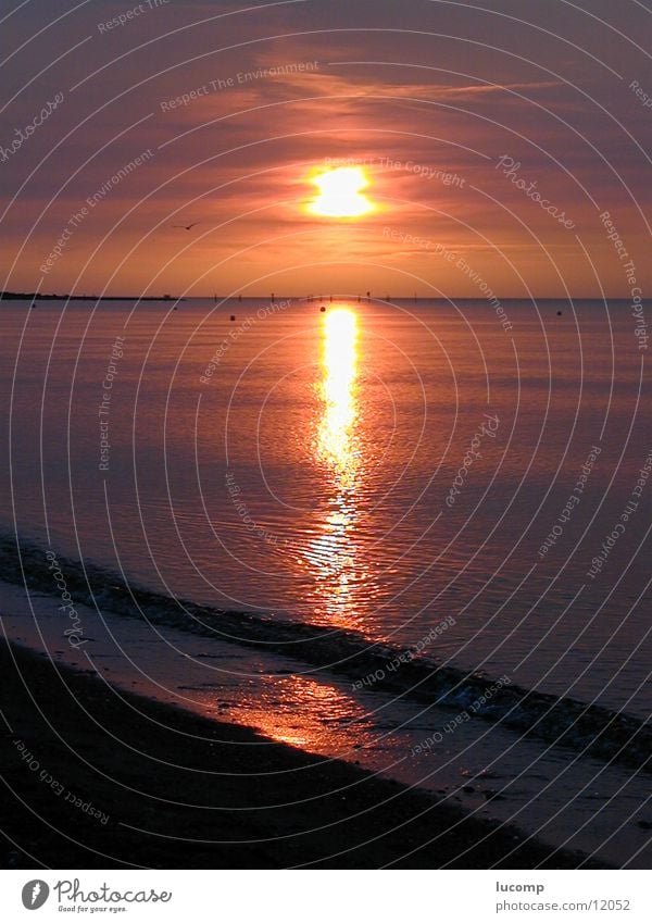 Abendsonne/Ostsee/Fehmarn Sonnenuntergang rot Meer Abenddämmerung Wellen Wellengang Licht Strand Romantik Horizont Wasser Lichtschein