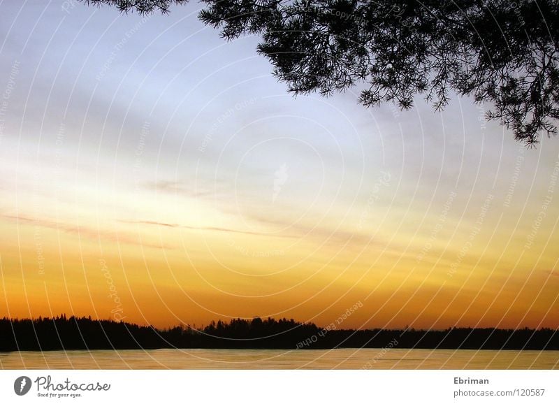 Armsjön See Morgen Wolken Horizont Baum weiß aufwachen schwarz rot Vordergrund Sonnenaufgang Küste Schleier Stimmung ruhig Winter Himmel Aussicht Wasser Eis