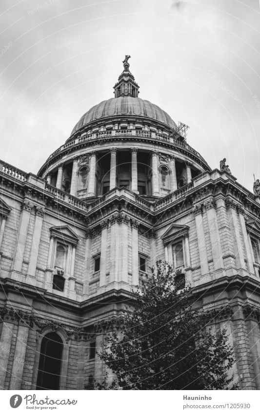 st. paul's cathedral Ferien & Urlaub & Reisen Tourismus Sightseeing Städtereise Kunst Kunstwerk Skulptur Architektur Baum London Stadt Hauptstadt Kirche Dom