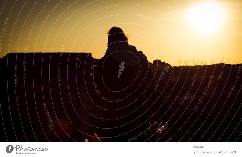 Im Licht Junge Frau Jugendliche Erwachsene Körper Umwelt Natur Sonne Sonnenaufgang Sonnenuntergang Sonnenlicht Sommer hell schön Wärme Gefühle Stimmung Freude