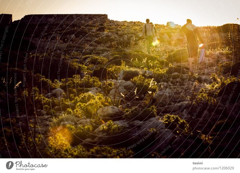 Weg zum Meer Junge Frau Jugendliche Junger Mann 2 Mensch Umwelt Natur Landschaft Tier Sonne Sonnenaufgang Sonnenuntergang Sonnenlicht Hügel Felsen laufen