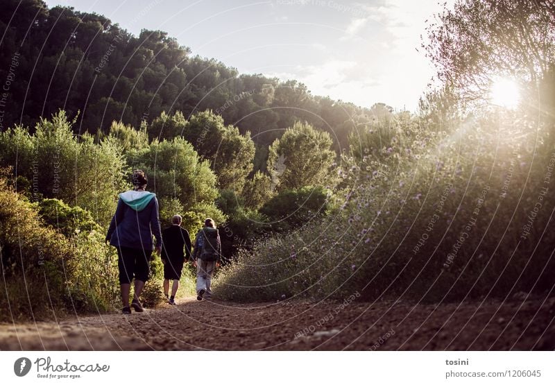 Auf dem Weg Mensch maskulin feminin Junge Frau Jugendliche Junger Mann Freundschaft Paar Partner 3 hell wandern Wege & Pfade Sommer Rucksack Himmel Wald