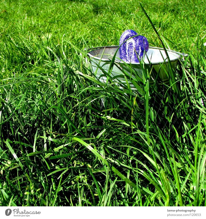 Jo is denn heut scho...Ostern? Osternest Osterei Ostermontag Hase & Kaninchen Hasenohren Löffel Suche Wiese Gras Halm Frühling frisch grün Schokolade Eimer Nest