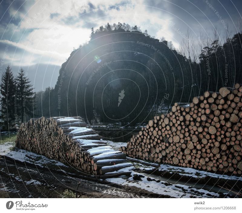 Gehölz und Gewölk Umwelt Natur Landschaft Pflanze Himmel Wolken Winter Klima Schönes Wetter Eis Frost Schnee Baum Berge u. Gebirge Oybin Zittauer Gebirge Holz