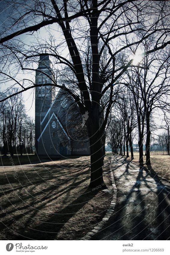 Kirchweg Himmel Klima Schönes Wetter Baum Park Kirche Bauwerk frieren leuchten groß hoch Hoffnung Glaube Idylle Religion & Glaube Sehenswürdigkeit Gotteshäuser