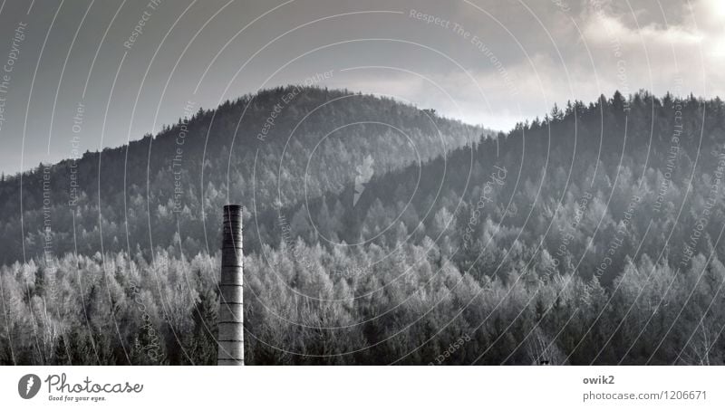 Im Dreiländereck Umwelt Natur Landschaft Pflanze Himmel Wolken Winter Schönes Wetter Eis Frost Baum Wald Berge u. Gebirge Zittauer Gebirge Bauwerk Schornstein