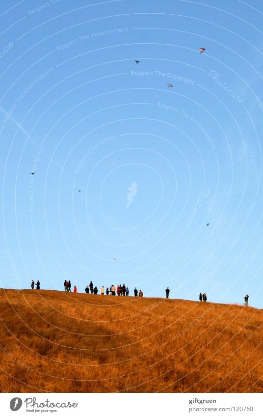 aufgefädelt Herbst Luft mehrfarbig Wiese Gras Spielen Berge u. Gebirge Drache drachen steigen Wind Himmel Mensch teufelsberg