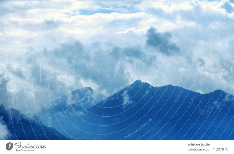 Wolkenfels Umwelt Natur Landschaft Pflanze Klima Wetter schlechtes Wetter Unwetter Nebel Schnee Schneefall Hügel Felsen Alpen Berge u. Gebirge Gipfel