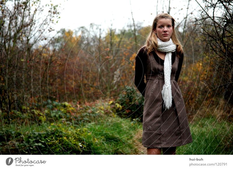 Abay Wald Märchen blond Winter kalt Mütze Kleid frieren Photo-Shooting Jugendliche frisch Junge Frau Fräulein Sträucher Wiese Baum grün Herbst Blatt mehrfarbig