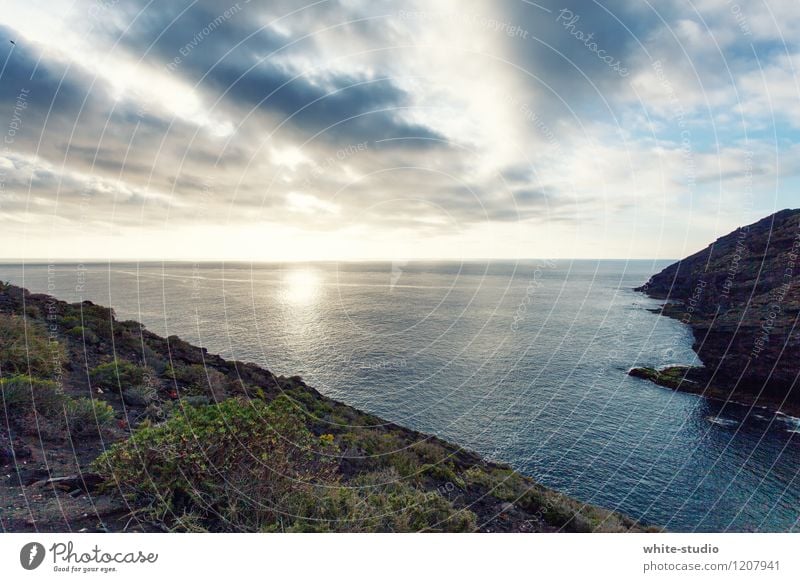 Ruhe vor dem Sturm Umwelt Natur Landschaft Pflanze Wasser Himmel Wolken Sonne Sommer Wetter Schönes Wetter Sträucher Wellen Küste Seeufer Flussufer Bucht Meer