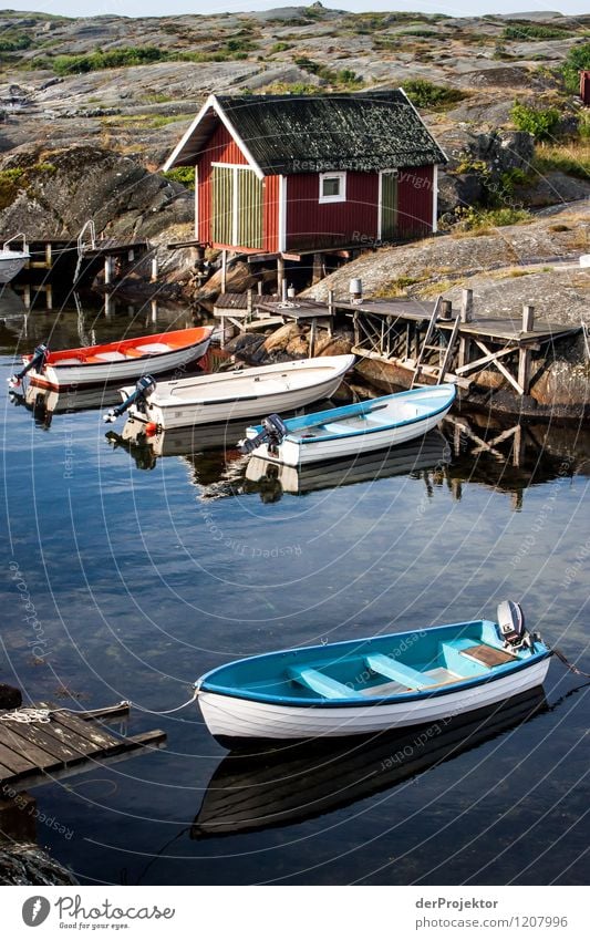 Morgens ist immer am schönsten... Ferien & Urlaub & Reisen Tourismus Umwelt Natur Landschaft Pflanze Tier Schönes Wetter Felsen Wellen Küste Bucht Fjord Ostsee