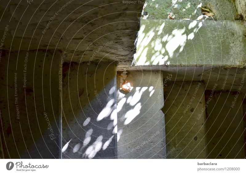 Kriegsenkel | Turmtreppe mit Lichtblick Blatt Burg oder Schloss Bauwerk Mauer Wand Treppe Stein dunkel hell historisch Gefühle Stimmung Angst Schutz Sicherheit