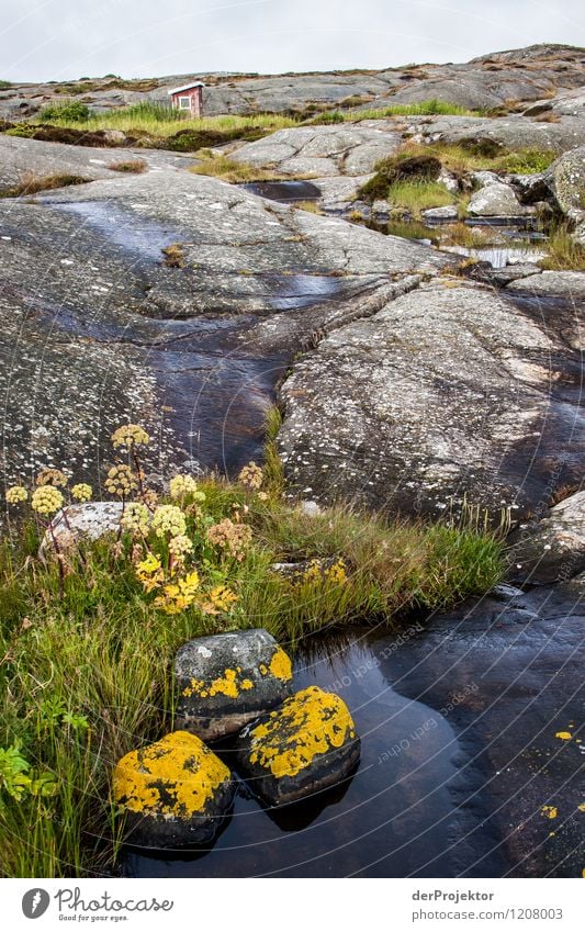 Schäre mit stillem Örtchen Ferien & Urlaub & Reisen Tourismus Ausflug Abenteuer Ferne Freiheit Kreuzfahrt Camping Umwelt Natur Landschaft Pflanze Tier