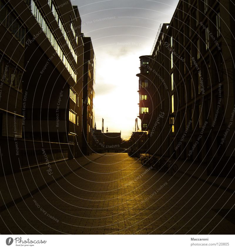 Sonnenuntergang Physik gelb Gasse Haus Hochhaus Köln Strahlung Abend Romantik schön links rechts gehen schmal Wärme Stein muster fenster PKW Himmel hell way